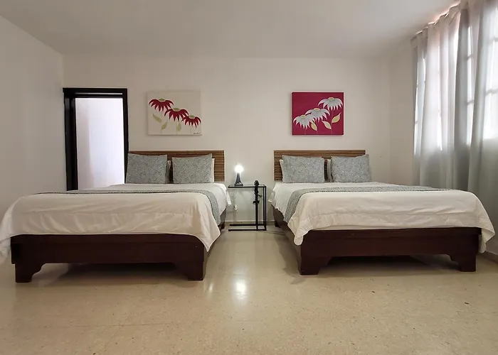 Drake Piantini Santo Domingo